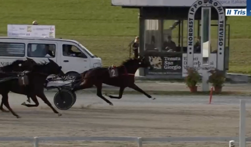 Ny topptid av Funny Gio