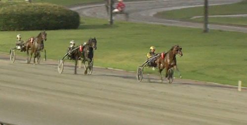 Femte raka för unghästtopp