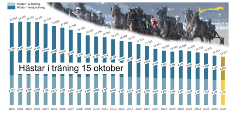 Färre hästar och färre tränare
