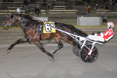 Spencer Hanover vann årsdebut