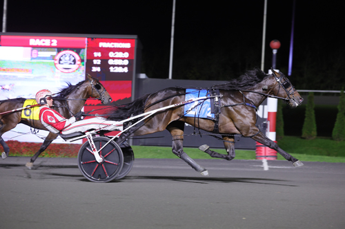 Treåringar tävlar om storpott
