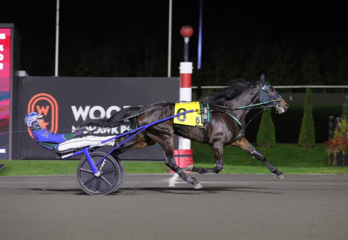 Årets Sto inledde i dur