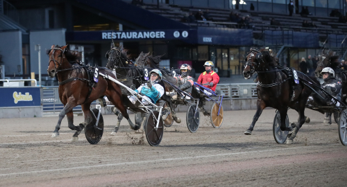 Breeders Crown – Treåriga hingstar och valacker