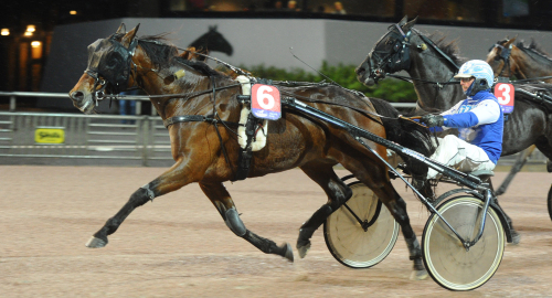 Praktskräll med Ackuratess