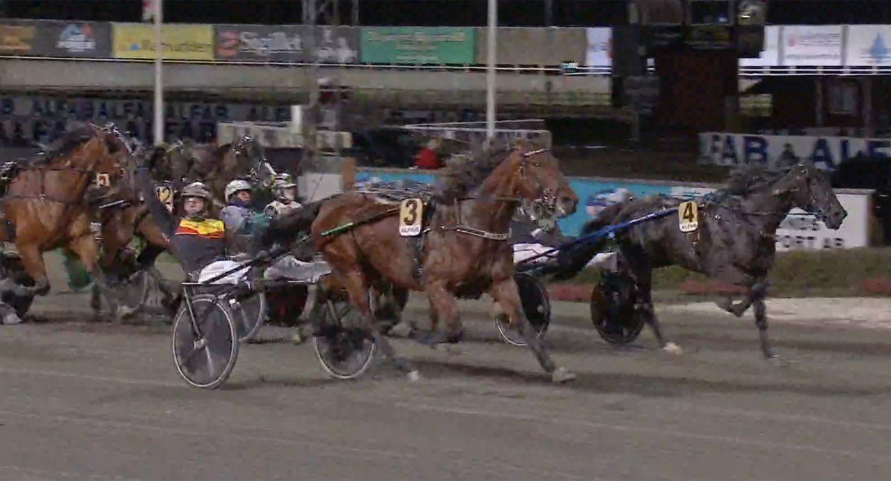 Högernäven i skyn från Mats E Djuse sedan Dream Minetagit hem Breeders Crown-finalen för fyraåriga hingstar och valacker. Skärmbild ATG Live