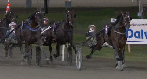 V85: Står över Frankrike i vinter