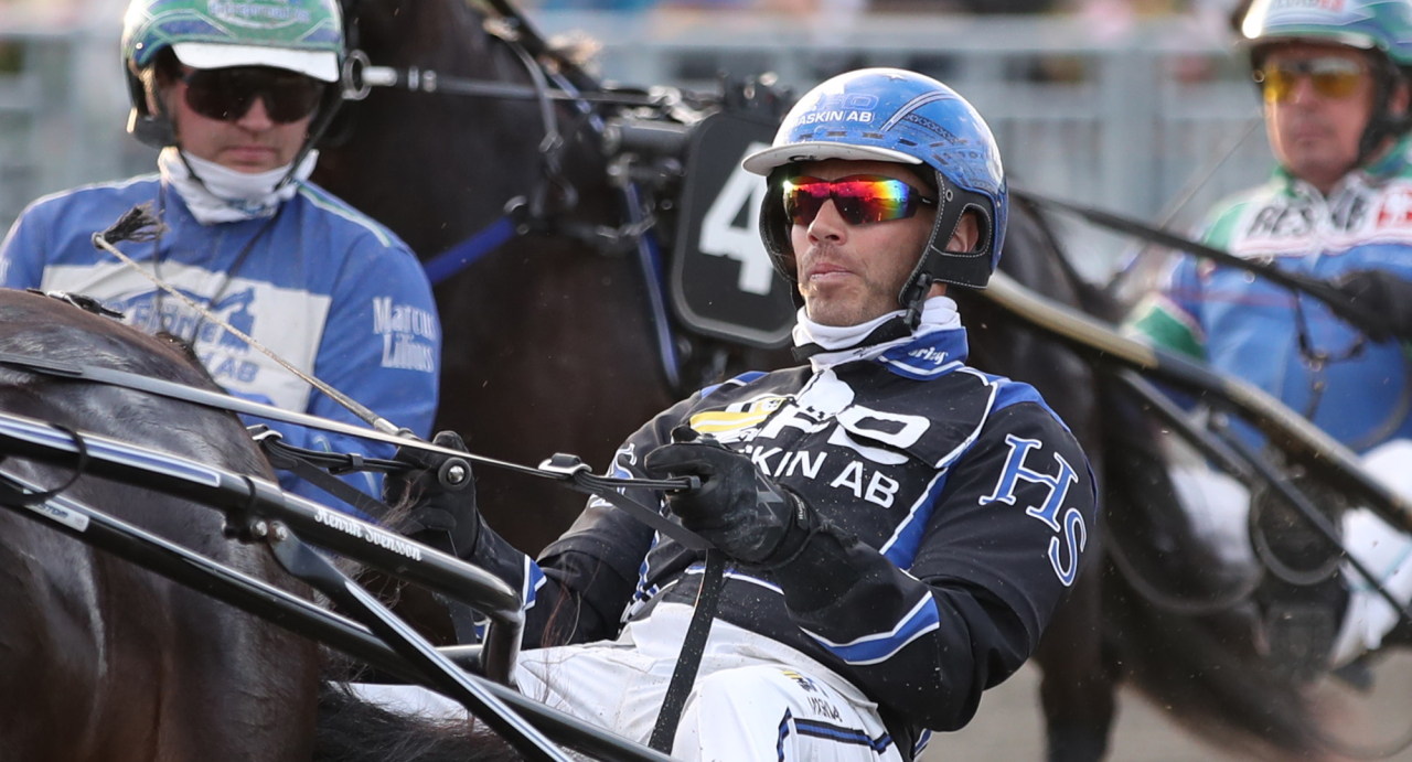 Henrik Svensson. Foto Mathias Hedlund/Sulkysport
