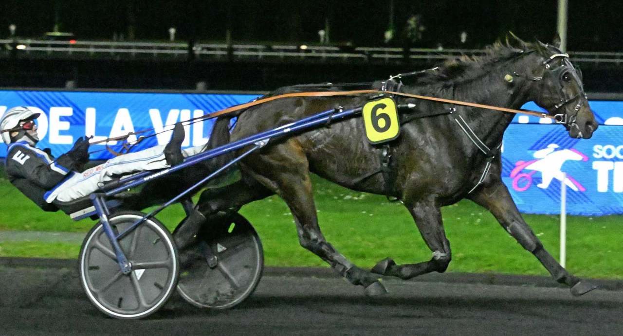 Christoffer Eriksson-tränade Humanity Pellini vann i Toulouse igår. Foto Gerard Forni