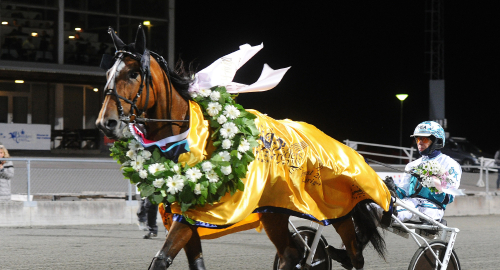 Därför bör miljonerna gå till femåriga ston