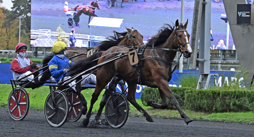Världsrekord av Liza Josselyn