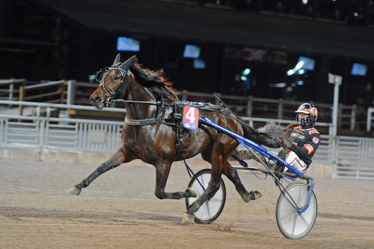 Neutron Star och Claes Sjöström vid seger i försök i Svensk Uppfödningslöpning. Foto: Adam Ström/stalltz.se