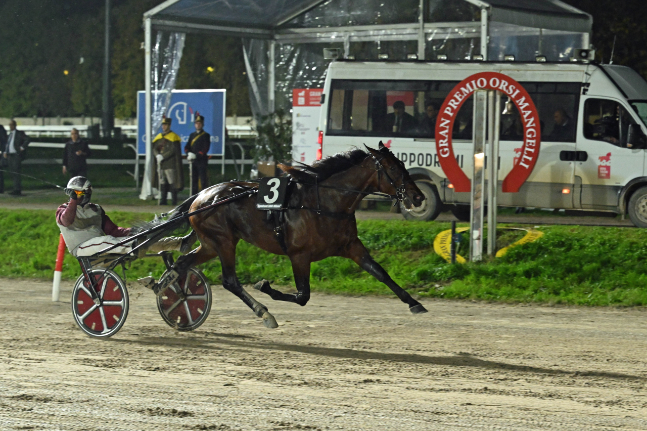 Ginostrabliggi vinner Orsi Mangelli.
Foto: Gerard Forni