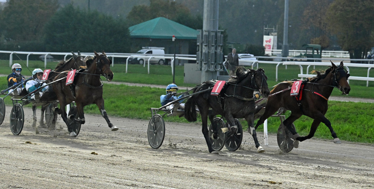 Invändiga Glamour Queen avgick med segern.
Foto: Gerard Forni