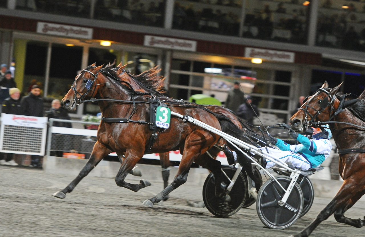 Perfect Chest höll undan för Recycle Cash i Breeders Crown-finalen för treåriga hingstar och valacker. Foto: Adam Ström/stalltz.se