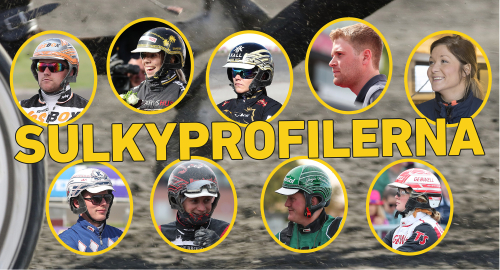 Följ nio tränare i vardagen