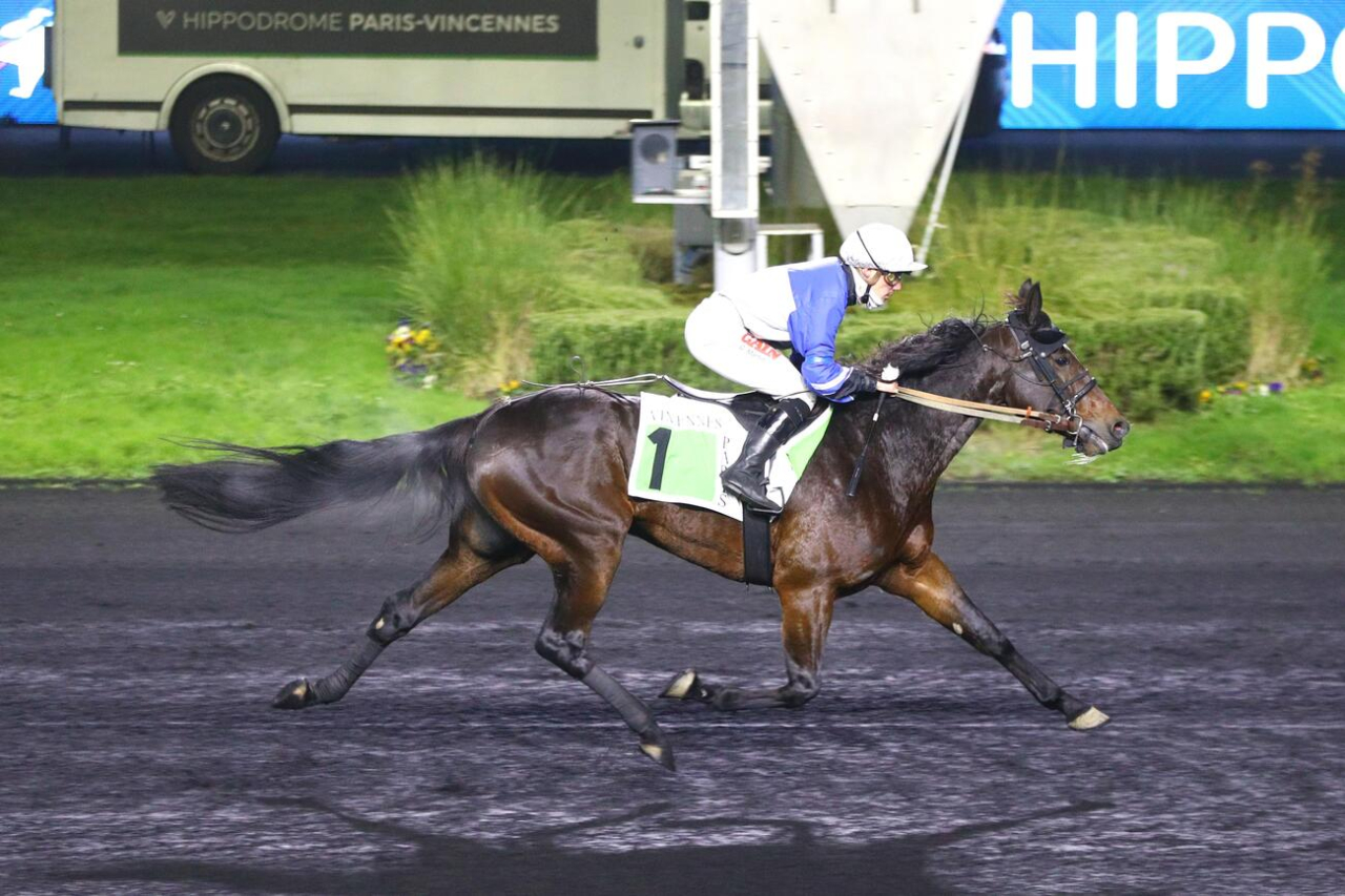 Invisible Sun. var ensam på målfotot i sin första start på Vincennes. Foto: Scoopdyga