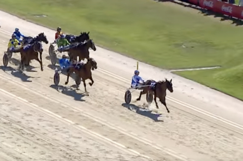 Favoritseger i Dominion Trot