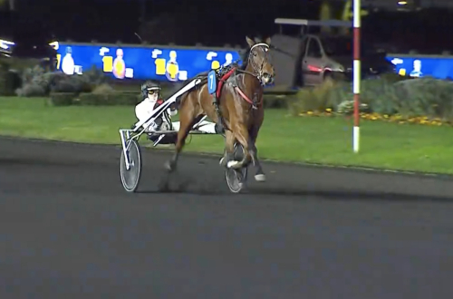 Ingen lycka för Jobspost