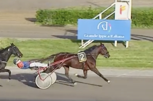 Enkelt från ledningen