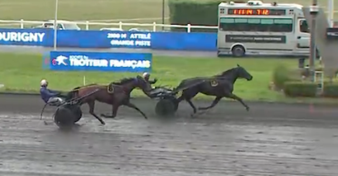 Fellow Wise As skräller för Nicolas Bazire.