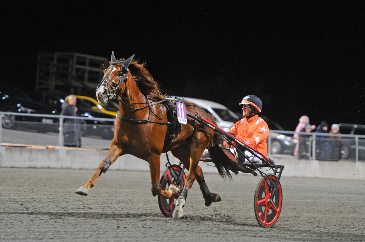 Steady Express. Foto: Adam Ström/stalltz.se