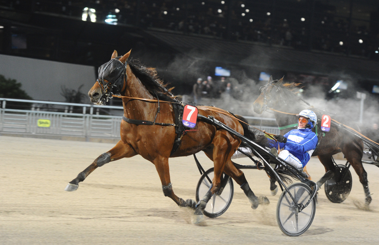 Useful Tile vinner för Jorma Kontio och står nu med tre segrar på fyra starter. Foto: Adam Ström/stalltz.se