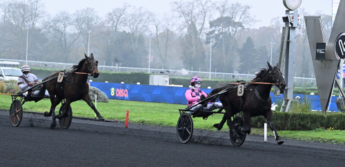 Obesegrat sto imponerade