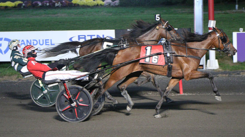 Svanstedt-ston dominerade