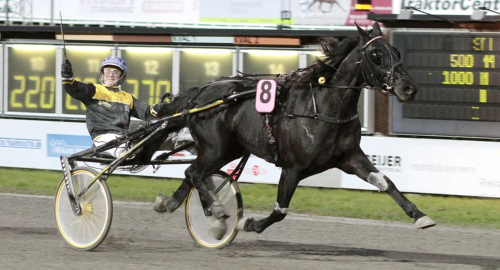 De firar jul på travbanan