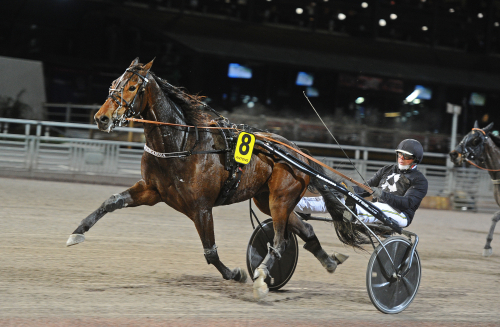 ”Kände mig ganska bekväm”