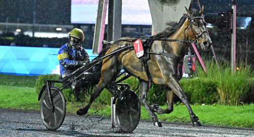 Liza tangerade världsrekordet