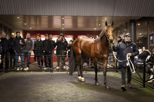Svenskar säljer i Paris