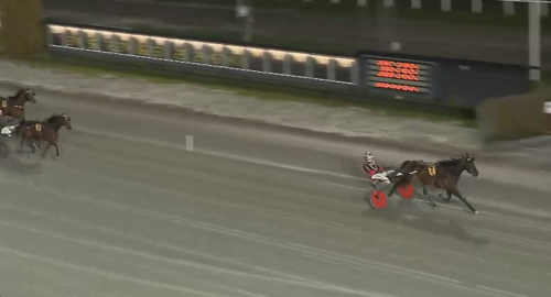 ”Tycker att han är snygg”