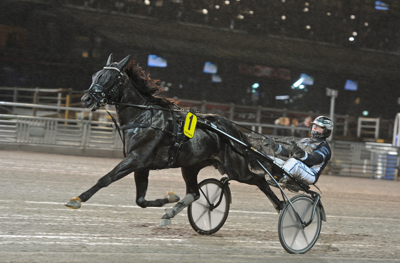 Mansell vann i ohotad stil för sin tränare Mattias Djuse. Foto: Adam Ström/stalltz.se