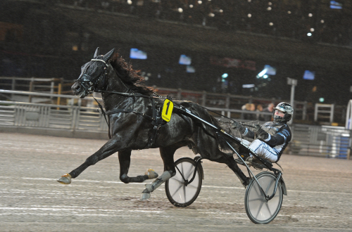 Överlägsen utan att bottnas