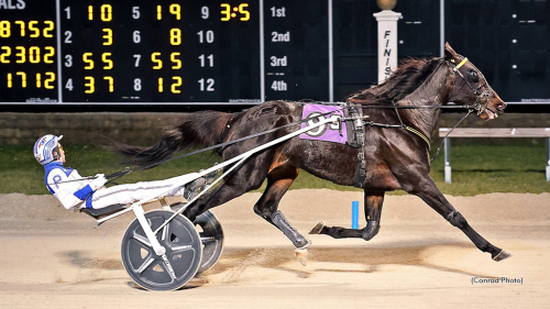 Årets sista 1.09-travare?