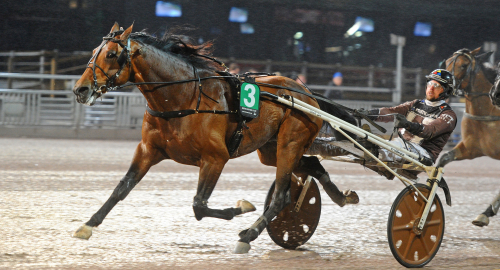 V85-jackpot: Favorit struken