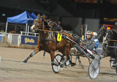 ”Var verkligen okörd”