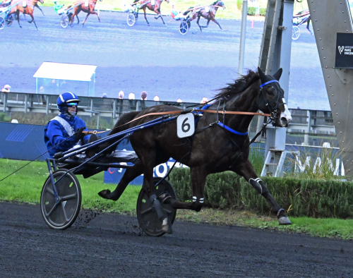 Kullkung vann med galopp
