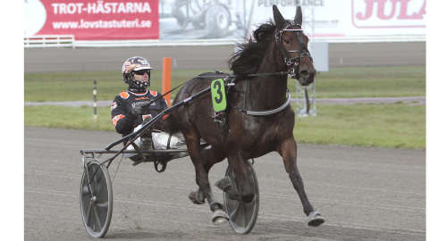 Uppstickare i Silverstoet