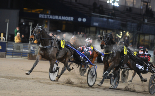 Kick-off på Axevalla