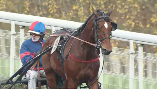 En efterlängtad seger…