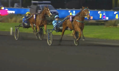 Knäckte Liza från dödens