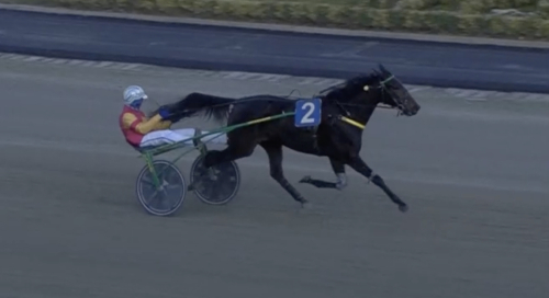 Irma utklassade motståndarna