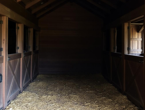 Sällan lyckliga slut