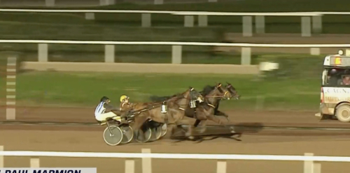 Ino du Lupin – en vinnare igen!