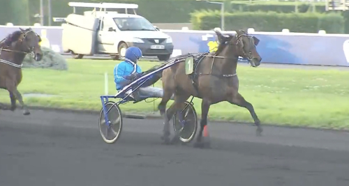 Succé för Chitchat