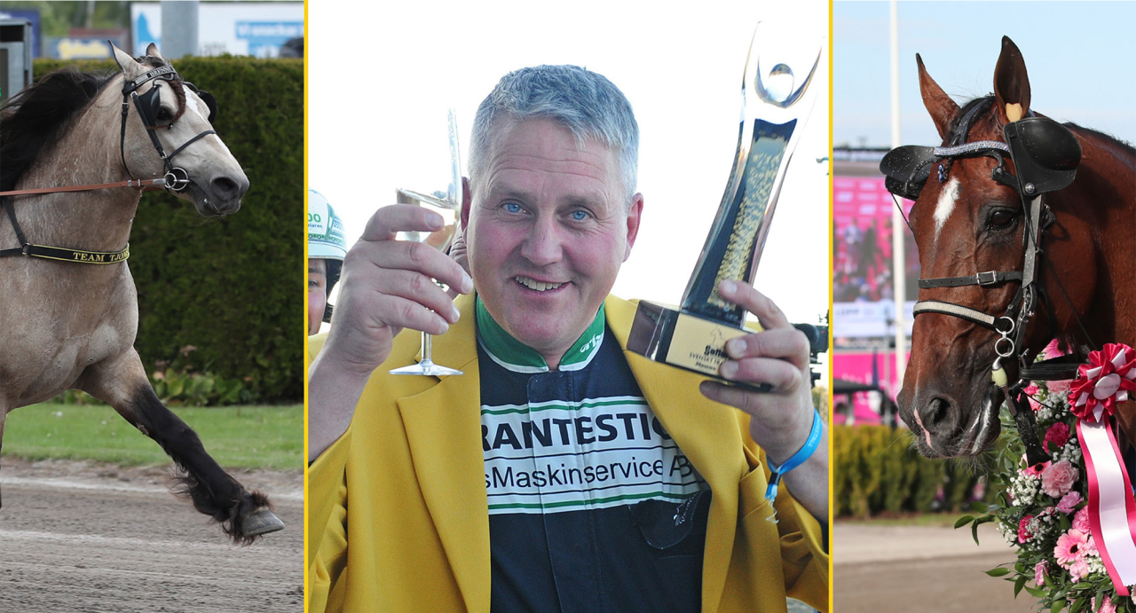 Tre av årets stora vinnare på svensk mark. Värdsrekordhästen Brenne Borken, Jörgen Westholm med rekordfyraåringen Dream Mine och Elitloppsvinnaren Go On Boy. Foto Mathias Hedlund/Sulkysport & Adam Ström/Stalltz.se