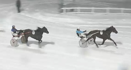 ”Får en jättebra häst om…”