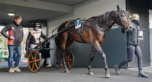 Från Prix d’Amérique till Visby
